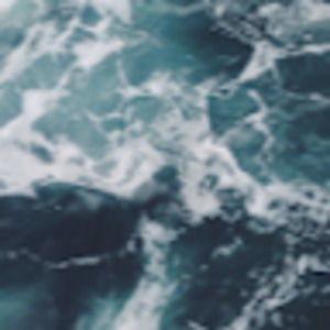 Meet your Posher, Charlotte